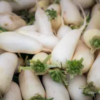 ilustrasi lonak putih/unsplash