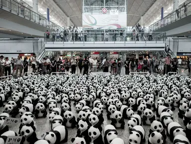 1600 panda yang terbuat dari bubur kertas memenuhi Bandara Internasional Hong Kong, Senin (9/6/14). (AFP PHOTO/Philippe Lopez)