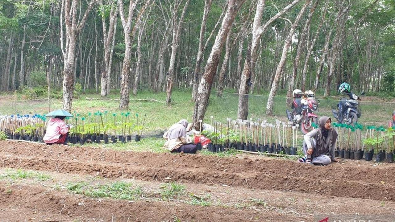 Tahukah Anda? Banyuasin Masuk 5 Besar Nasional Penghasil Gabah, Bupati Ajak Lulusan SMK Pertanian Banyuasin Optimalkan Lahan
