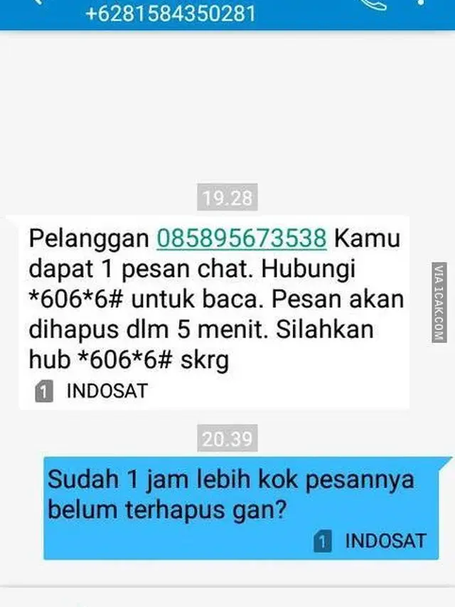 Chat Kocak Dengan Tukang Tipu Ini Bikin Ketawa Ngakak