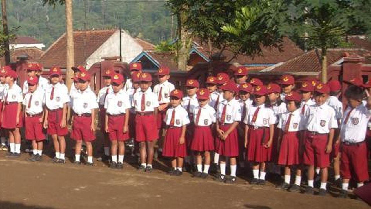 Curahan hati Reynaldi, anak SD yang turun kelas