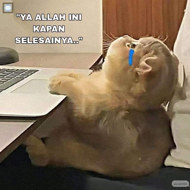 6 Meme Kondisi Mahasiswa Sedang Skripsi Ini Bikin Senyum Tipis