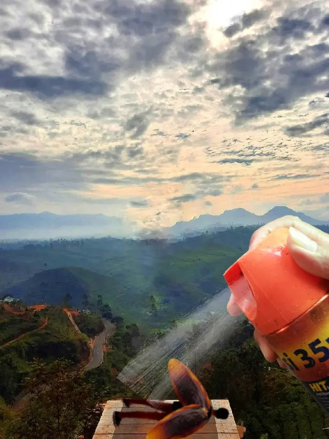 Pria Ini Minta Tolong Fotonya Diedit Punya Sayap, 6 Hasilnya Kocak