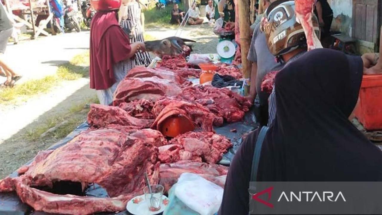 Pemkab Simeulue Terima Bantuan Sapi Presiden Prabowo untuk Tradisi Meugang Idul Fitri