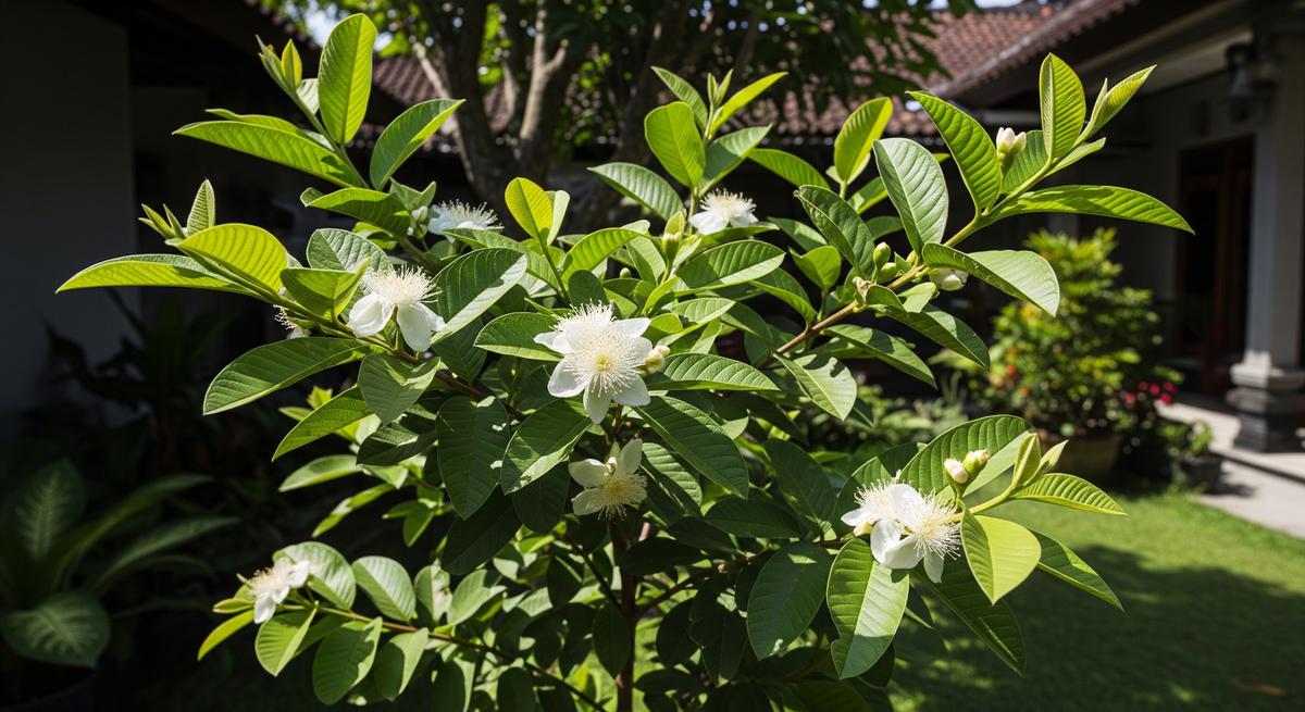 Pohon Kurang Terkena Sinar Matahari