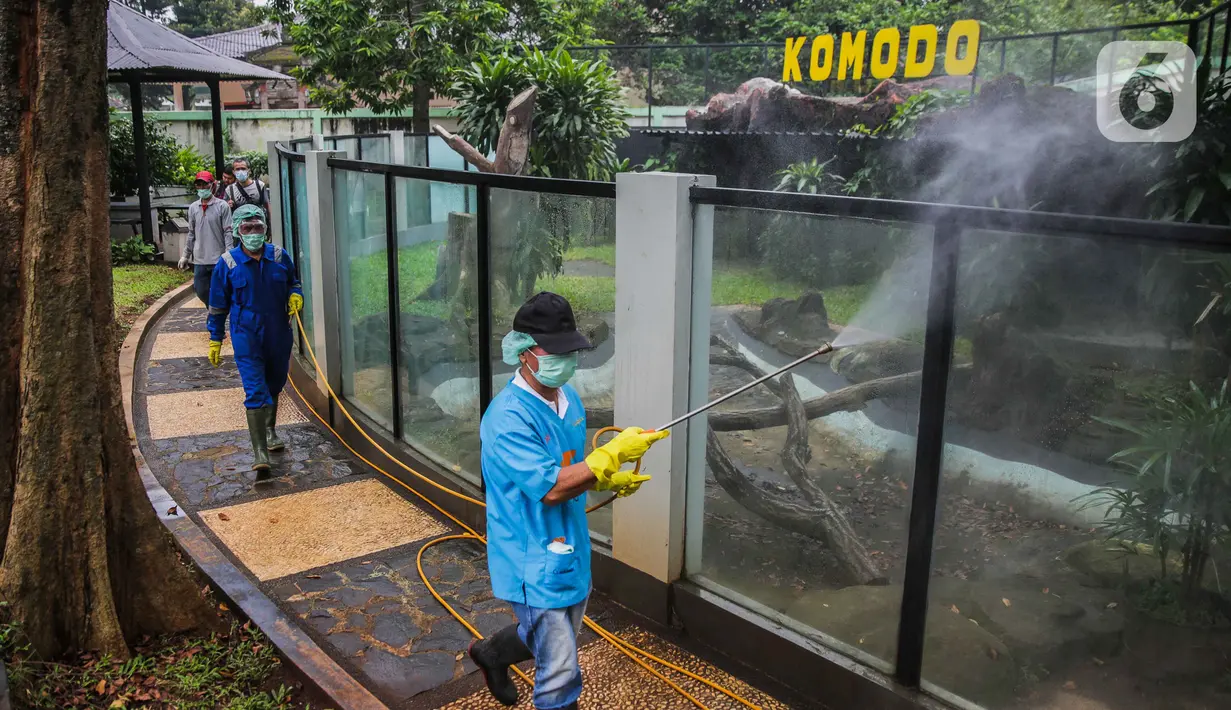 Petugas menyemprotkan cairan disinfektan di Taman Komodo TMII, Jakarta, Rabu (18/3/2020). Penyemprotan dilakukan untuk mengantisipasi penyebaran virus corona COVID-19. (Liputan6.com/Faizal Fanani)