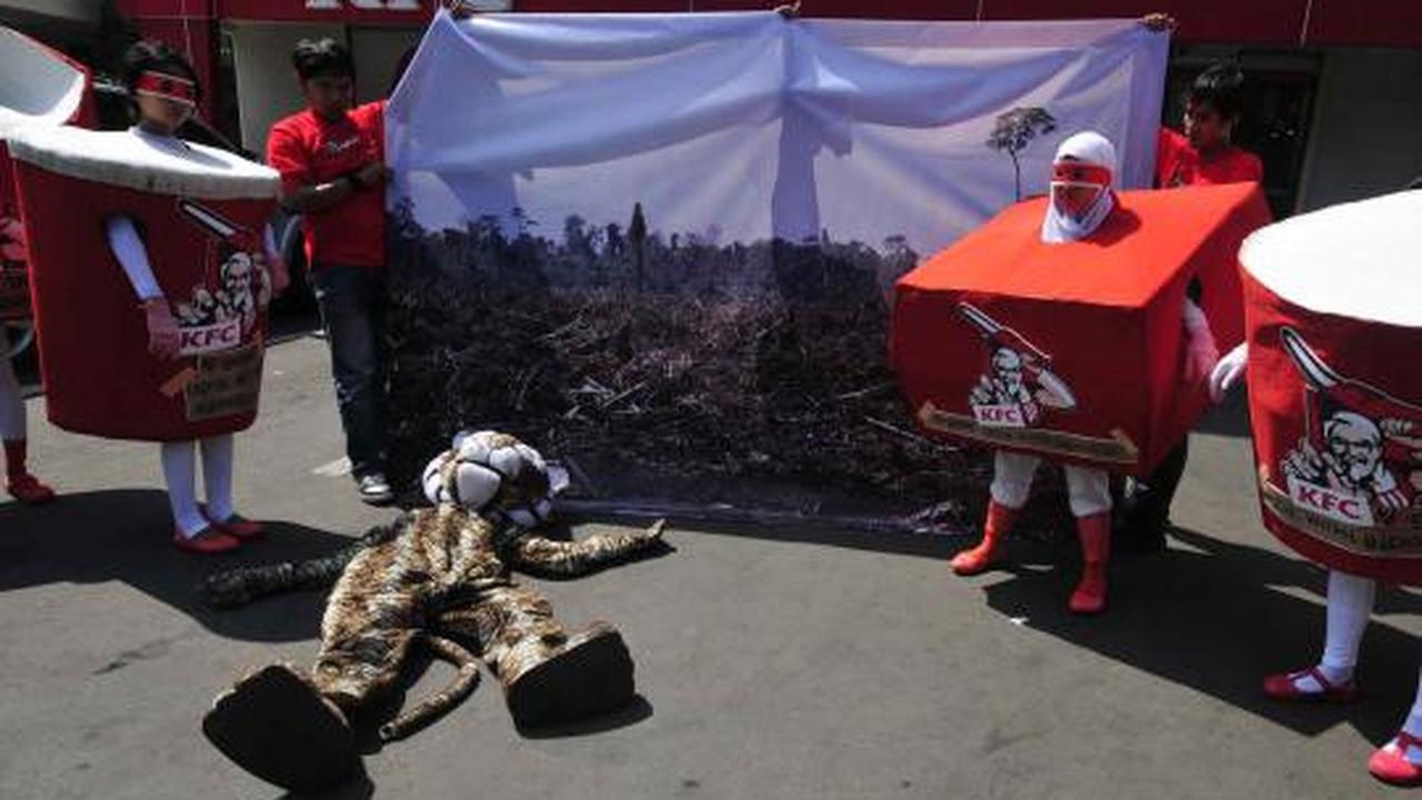 Aksi macan berunjuk rasa di restoran KFC