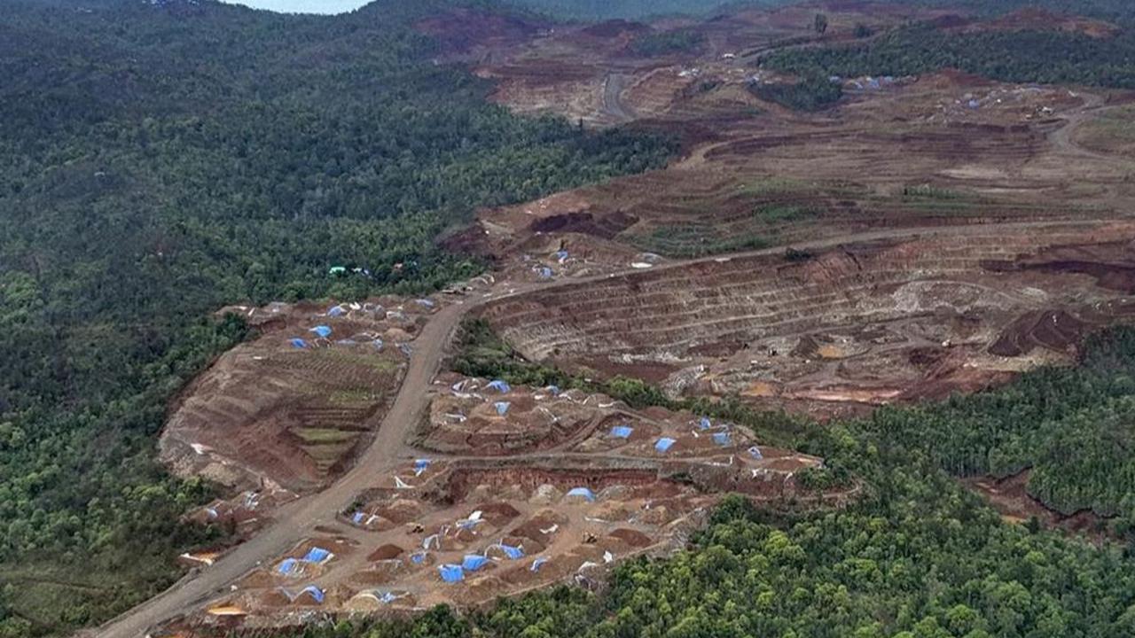 Daerah Berhasil Jaga Hutan dan Tekan Deforestasi Bisa Dapat Dana Miliaran Rupiah, Begini Syaratnya