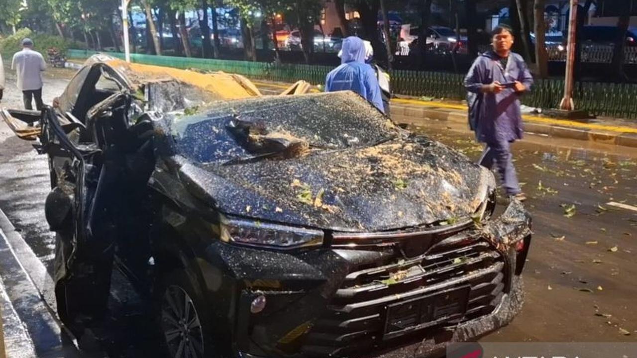 Tragis: Pengemudi Tertimpa Pohon Jaksel Saat Hujan Deras, Pohon Tua Jadi Sorotan