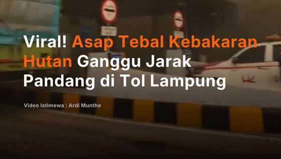 Viral! Asap Tebal Kebakaran Hutan Ganggu Jarak Pandang di Tol Lampung