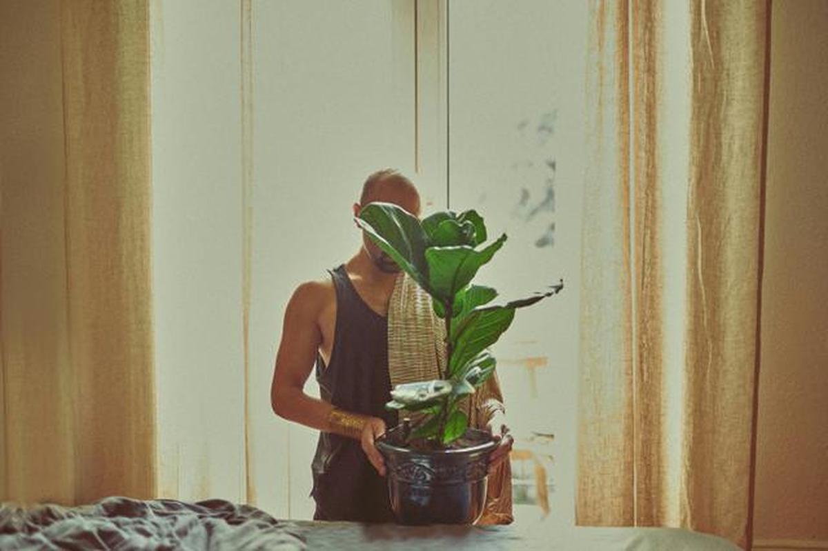 Terlalu Banyak Tanaman Hias di Rumah Bisa Bikin Stres, Berapa Jumlah Ideal?