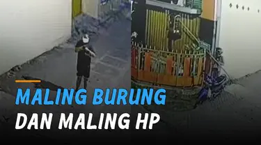 Video CCTV memperlihatkan dua pria yang mencuri burung dan handphone milik warga. Kejadian itu terjadi di Jalan Amarta, Pringgolayan, Condong Catur, Sleman Yogyakarta.