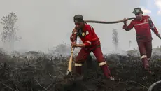 Update Hotspot kebakaran Hutan, Kalteng Tertinggi