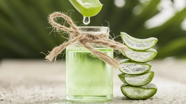 Begini Cara Pakai Lidah Buaya untuk Rambut Biar Lebih Sehat dan Terawat, Simak Baik-Baik Ya