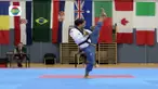 Tim taekwondo Indonesia mencatat prestasi fenomenal dalam kejuaraan internasional yang berlangsung di Wina Austria. 