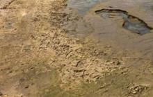 85 Jejak Kaki Makhluk Berusia 90.000 Tahun Ditemukan di Pantai, Ternyata Milik Spesies Manusia Ini