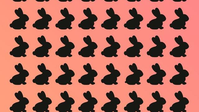 Tes Kejelian Mata: Temukan Objek yang Berbeda Dalam 10 Detik