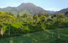 Gunung Batu Ciwidey dan Sisi Menariknya, Ada Banyak Bangunan Peninggalan Belanda