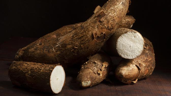 Modifikasi Singkong Jadi Tepung MOCAF, Bebas Gluten dan Indeks Glikemik Rendah