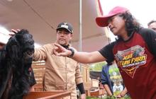 Bupati Haris Dorong Probolinggo Jadi Sentra Ternak Kambing-Domba, Optimalkan Potensi Lokal