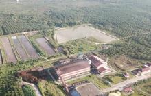 PalmCo Target Bisa Kurangi 40 Persen Emisi Karbon di 2030, Begini Strategi Dijalankan Perusahaan