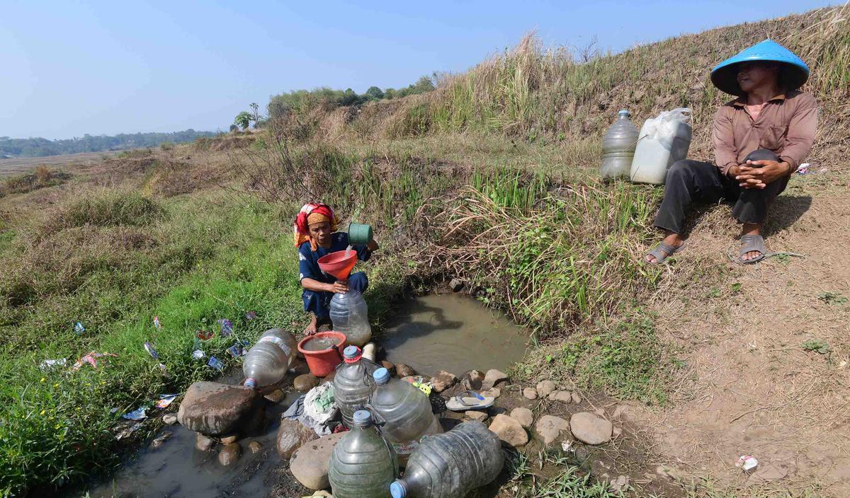 Warga Bertahan dari Kubangan Bekas Sawah di Tengah Kekeringan