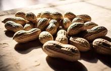 Bolehkah Makan Kacang Goreng Saat Diet? Ketahui Jenis Kacang yang Tepat untuk Menurunkan Berat Badan dan Cara Konsumsinya