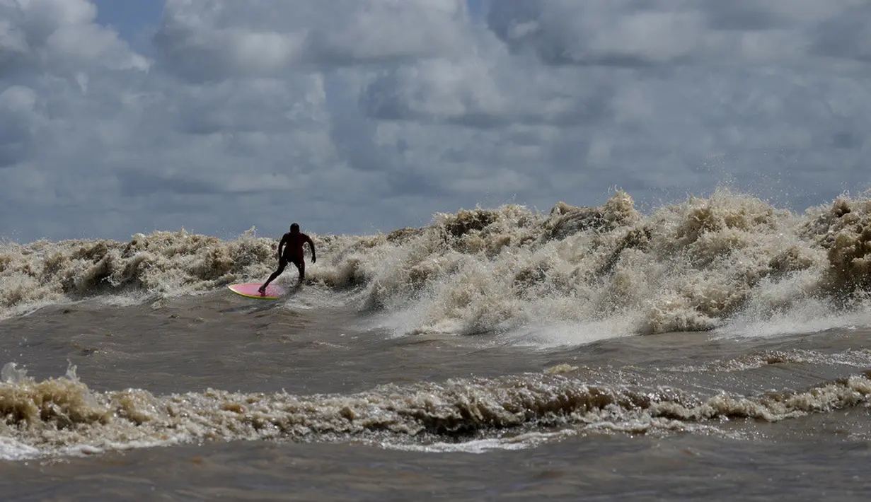 <p>Peselancar Brasil Naysson Costa mengendarai gelombang pasang surut yang dikenal sebagai Pororoca saat Festival Selancar Amazon yang diadakan di Canal do Perigoso atau Saluran Berbahaya di muara Sungai Amazon dekat Chaves, Pulau Marajo, Negara Bagian Para, Brasil, Senin (5/6/2023). (AP Photo/Eraldo Peres)</p>