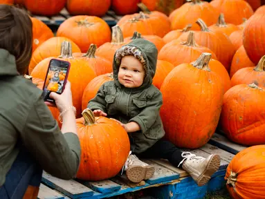 Seorang anak berpose untuk difoto bersama labu di sebuah festival labu, atau dikenal sebagai Pumpkinfest, di Lincolnshire, Illinois, Amerika Serikat (AS), pada 17 Oktober 2020. Belakangan ini, banyak kota di Illinois menggelar festival labu menjelang perayaan Halloween. (Xinhua/Joel Lerner)