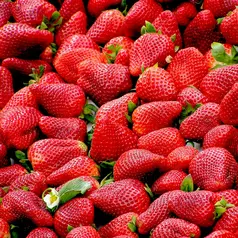 manfaat buah stroberi./copyright. pexels/