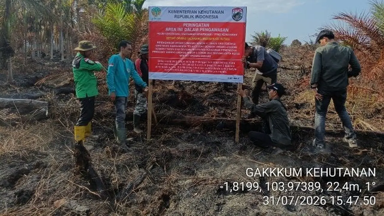 Kementerian Kehutanan menyelidiki kebakaran kawasan Hutan Produksi di Kabupaten Musi Banyuasin, Sumatera Selatan. (Istimewa)