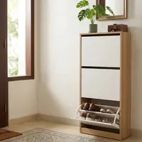 Ide Rak Sepatu Tertutup di Dekat Pintu Masuk (AI Generated)