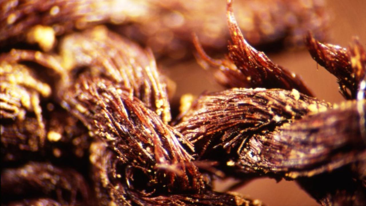 Kain mumi dari zaman prasejarah Mesir