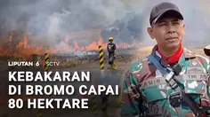 Kebakaran di Bromo Capai 80 Hektare
