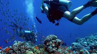 Berpartisipasi di event Malaysia International Dive Expo 2017, Kemenpar berpeluang boyong ratusan ribu Divers Malaysia datang ke Indonesia.