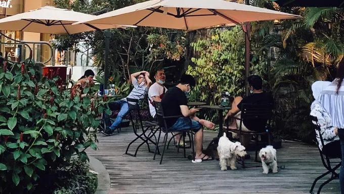 Menyantap Beragam Menu Kuliner Istimewa di Taman Bertabur Bintang