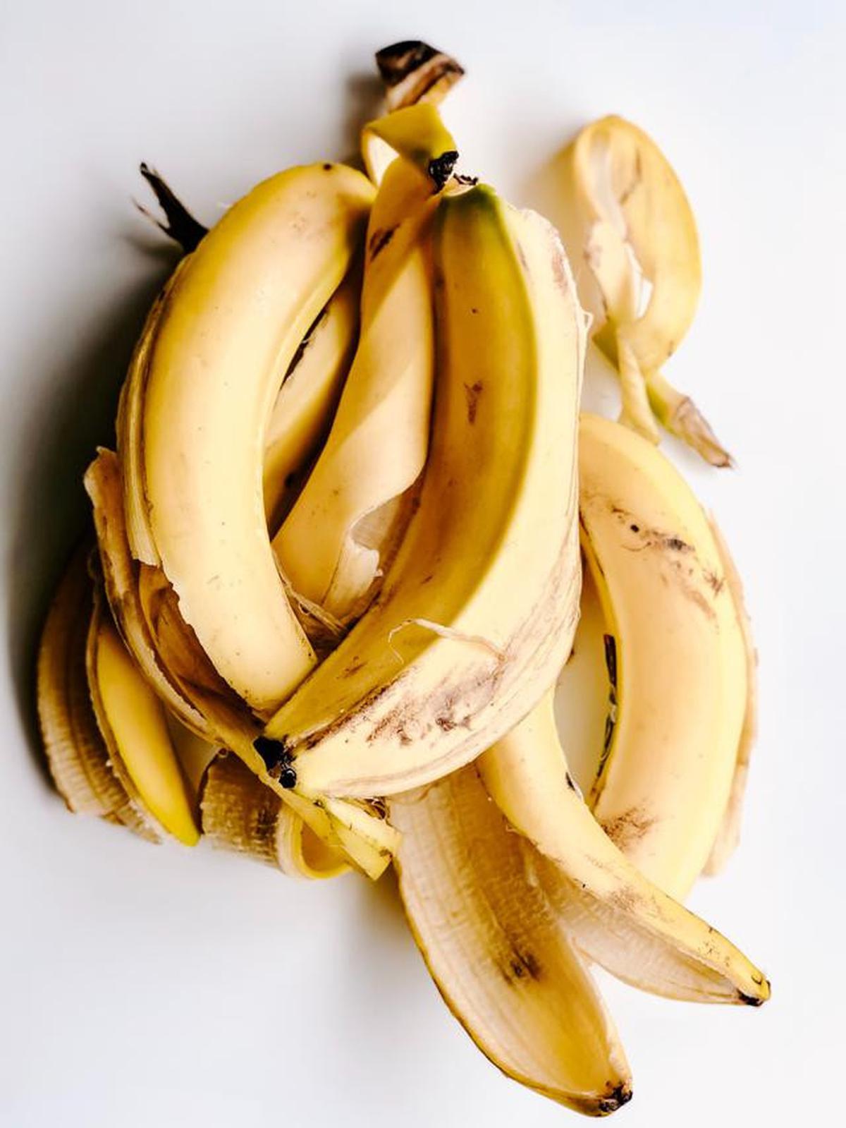 ilustrasi kulit pisang