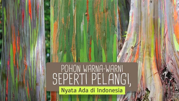 (c) amusingplanet.com