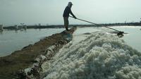 Petambak Garam Cirebon mengeluh harga jual yang anjlok ditengah melimpahnya hasil produksi. Foto (Liputan6.com / Panji Prayitno)