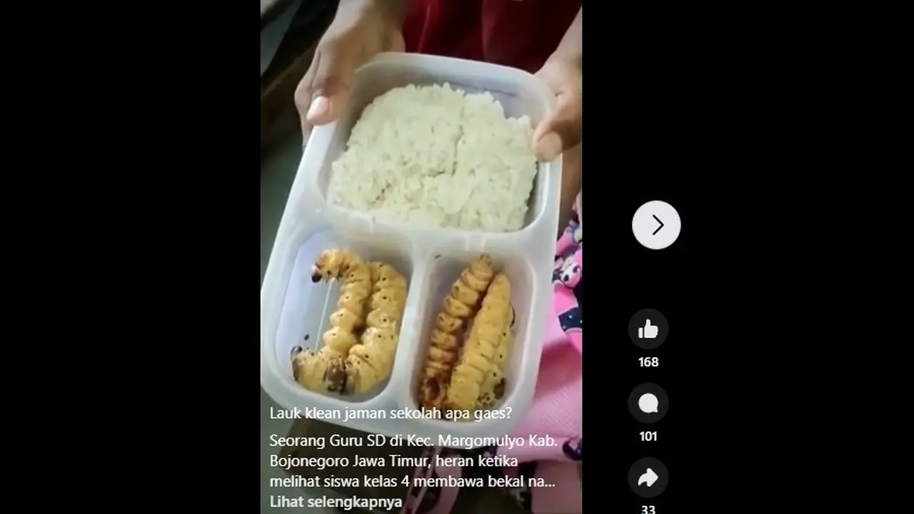 Siswa SD di Bojonegoro membawa bekal makanan laut ulat ke sekolah. (Istimewa)