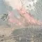 2 Hektare Taman Nasional Way Kambas Terbakar