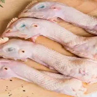 Ilustrasi kepala ayam. (Foto: Istimewa)