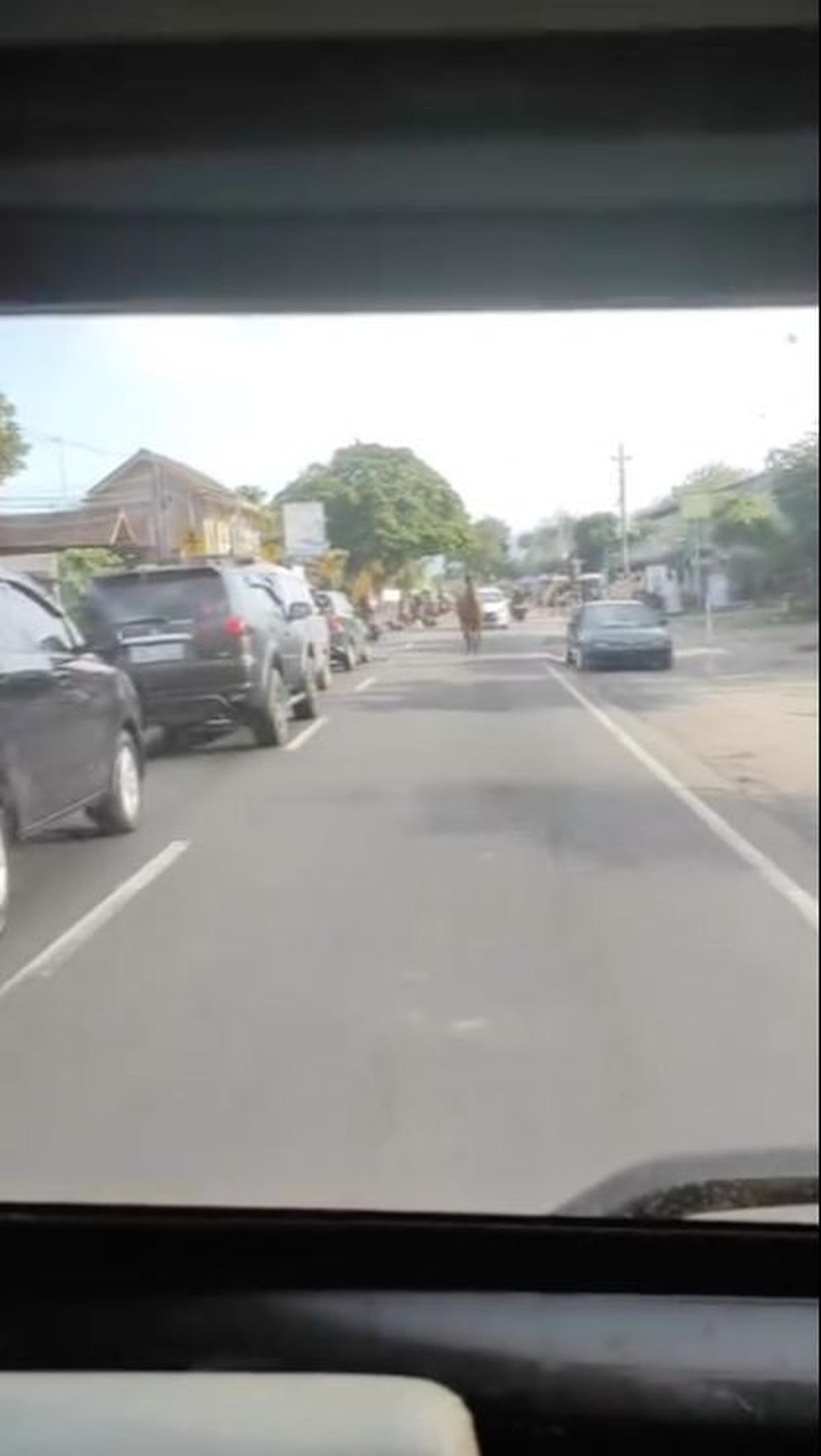 Komentar Warganet<br>