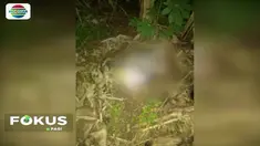 Diduga menjadi korban aksi penculikan, seorang anak perempuan berusia enam tahun di Bogor, Jawa Barat, ditemukan tewas dalam karung tak jauh dari rumahnya.