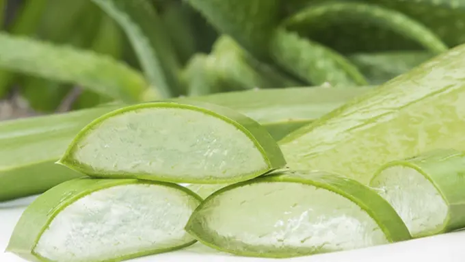 Foto: copyright thinkstockphotos.com