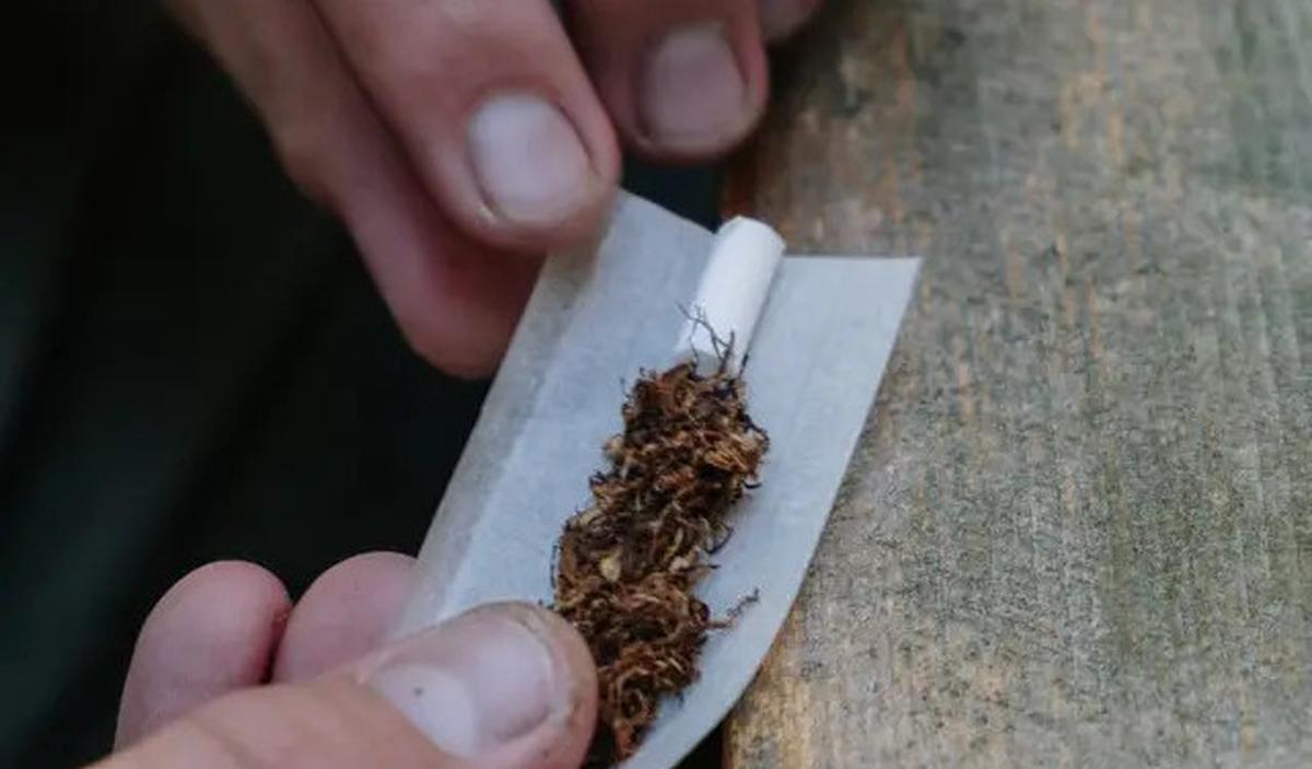 Wacana Rokok Tanpa Merek, Sejumlah Kepala Daerah Soroti Dampak pada Industri Hasil Tembakau