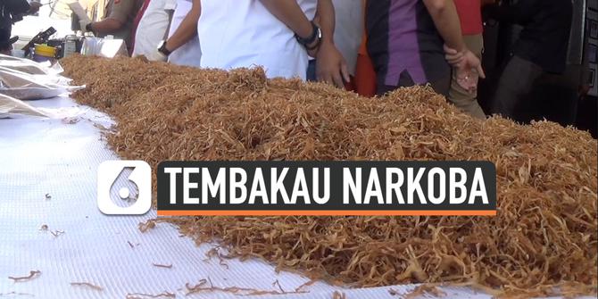 VIDEO: Polisi Gerebek Lokasi Pembuatan Tembakau Sintetis di Bogor