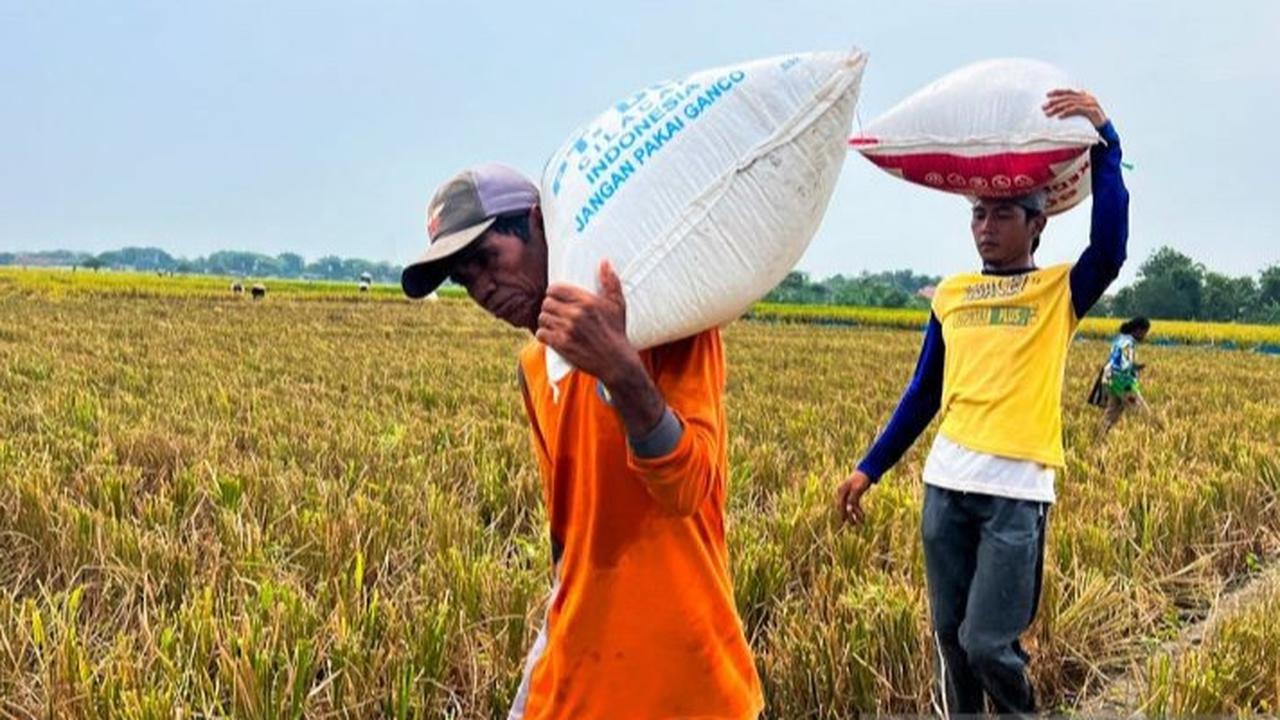 Gelar Svarna Bhumi Award 2025, Dirut Pupuk Indonesia: Ketahanan Pangan Tak Hanya Sekadar Ketersediaan Pupuk