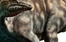 Para Ahli Temukan Spesies baru Stegosaurus di China