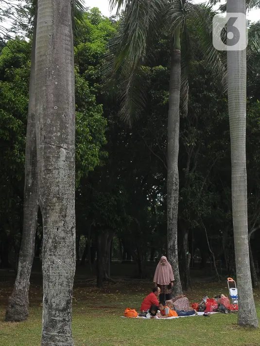 Tampak sejumlah keluarga bersama anak-anaknya melihat indahnya Monas. Tak jarang mereka juga duduk di rumput untuk menggelar tikar dan bersantai sejenak. (merdeka.com/Imam Buhori)